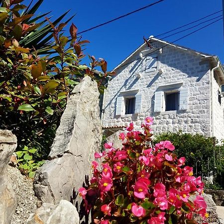 Old Stone Villa Lalosevic Kotor Exterior photo