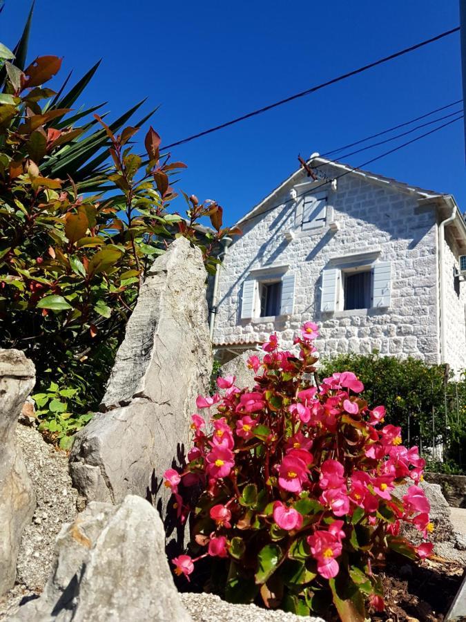 Old Stone Villa Lalosevic Kotor Exterior photo